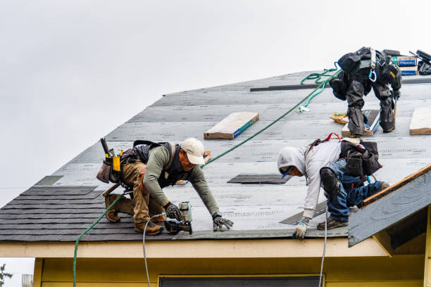 Professional Storm Damage Roof Repair technician working in Rhoadesville, VA